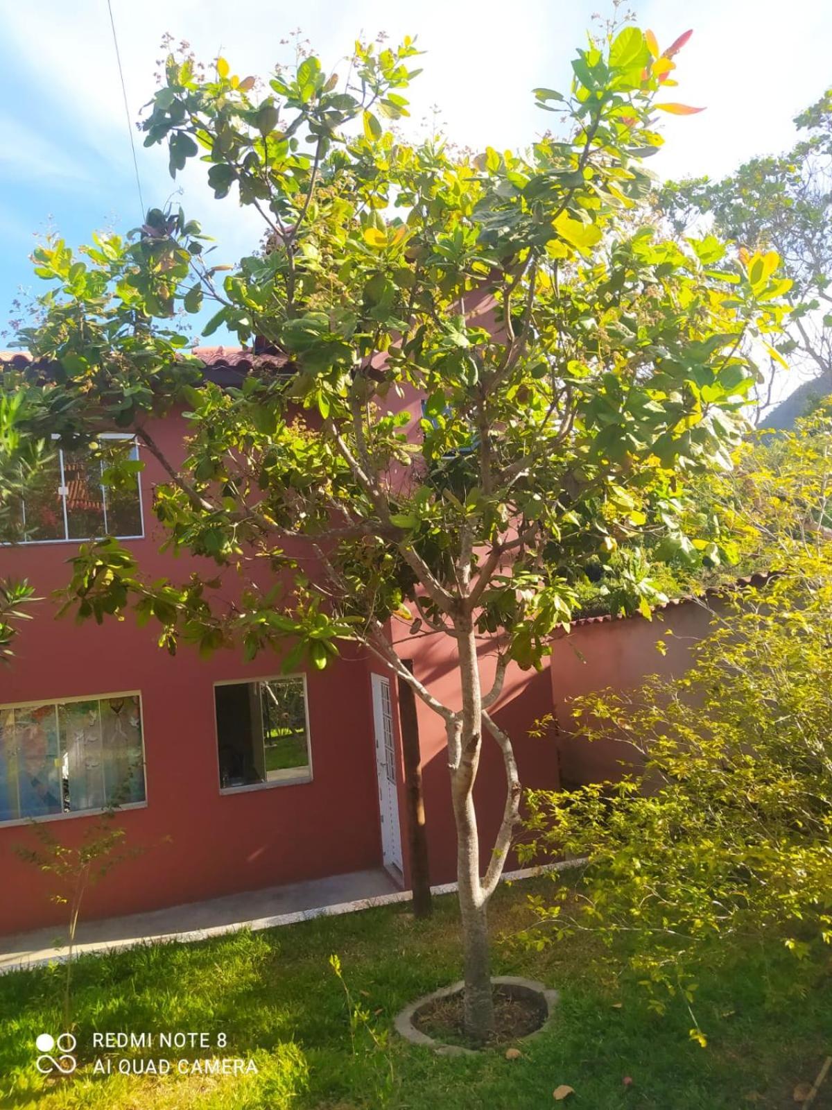 Bangalos Holiday home Cavalcante